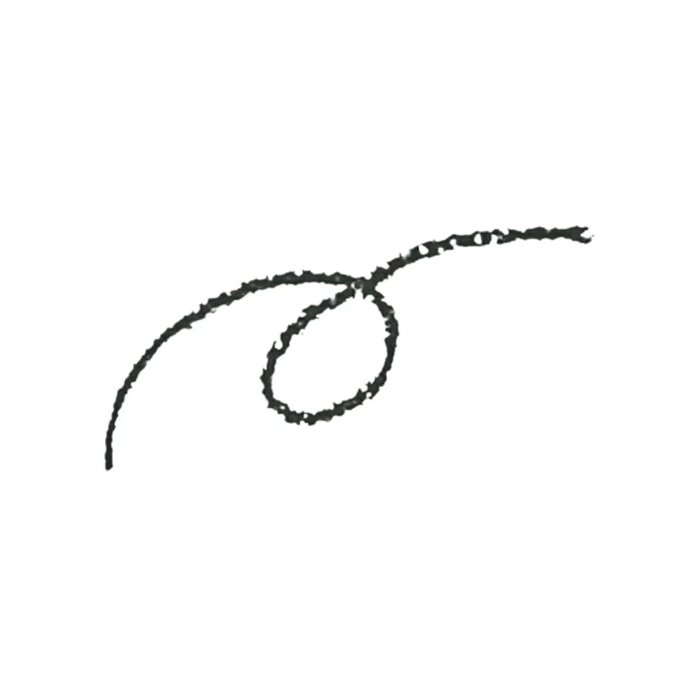 SHISEIDO Majolica Majorca Linemania Pencil Eyeliner #Bk999 Black - Image 3